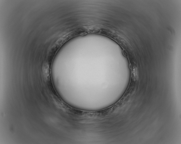 X0000113530963200910161346