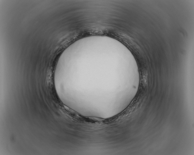 X0000113530964200910161346