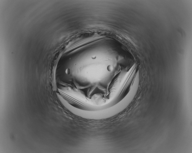 X0000113530965200910161346