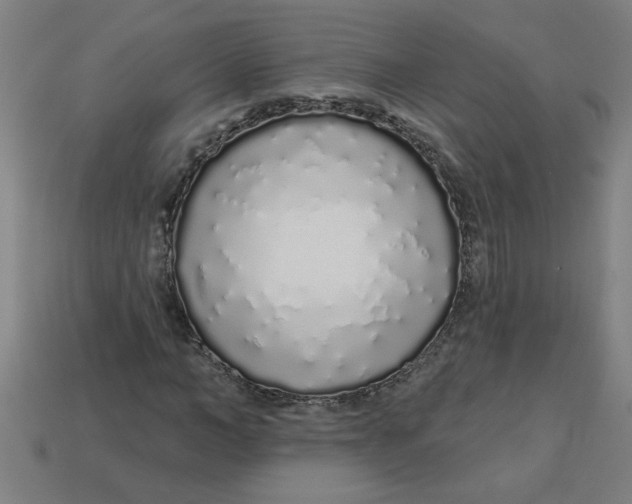 X0000113530966200910161346