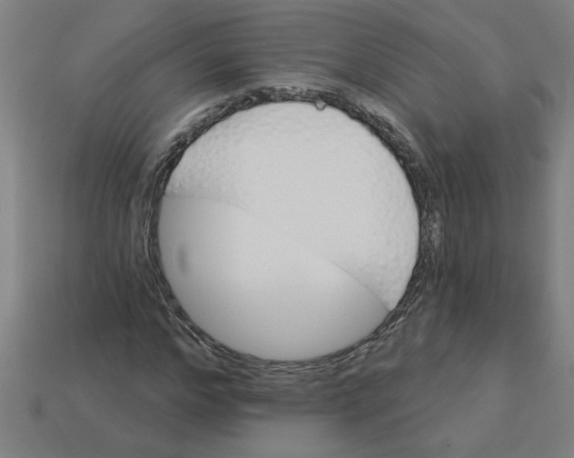 X0000113530968200910161346