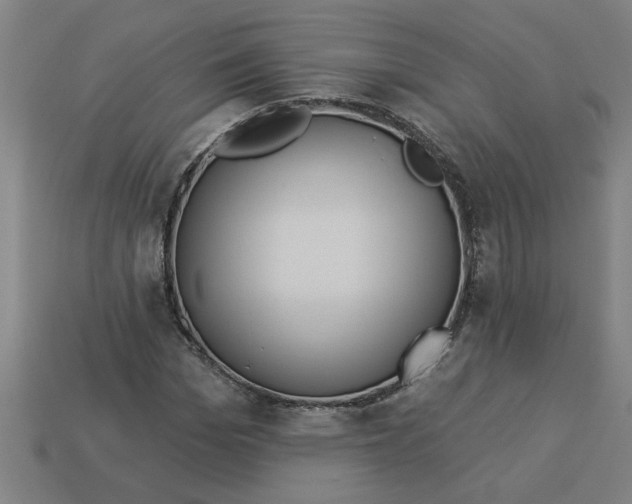 X0000113530969200910161346