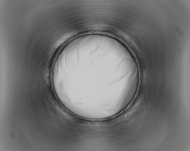 X0000113530970200910161346