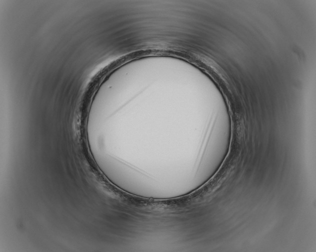 X0000113530971200910161346