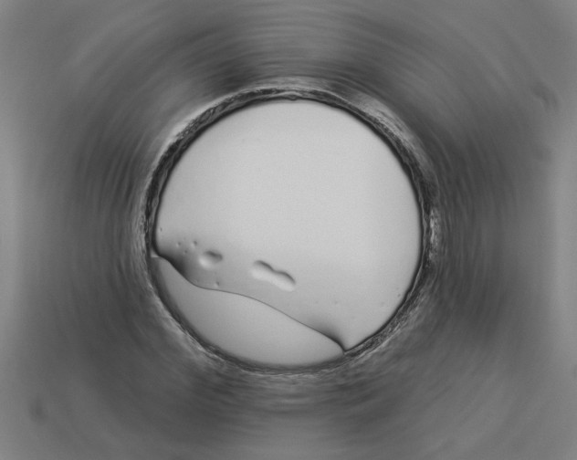 X0000113530972200910161346