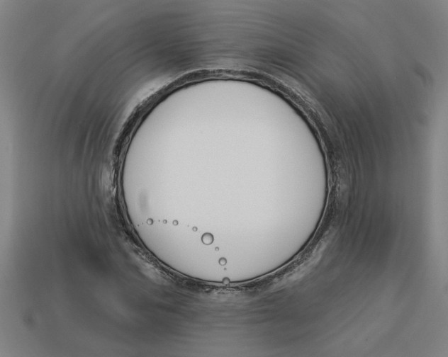 X0000113530974200910161346