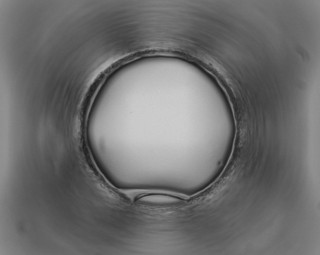 X0000113530975200910161346