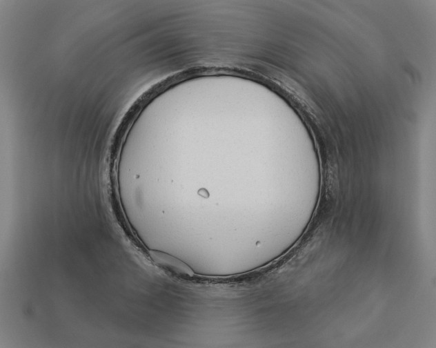 X0000113530976200910161346