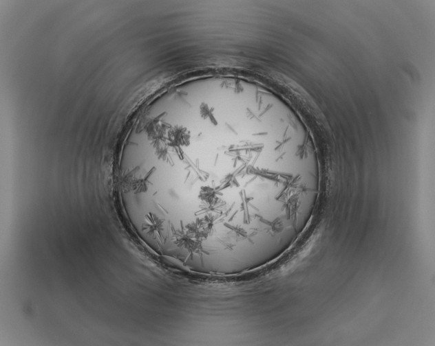 X0000113530977200910161346