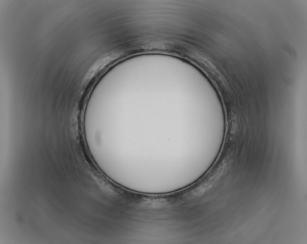 X0000113530978200910161346