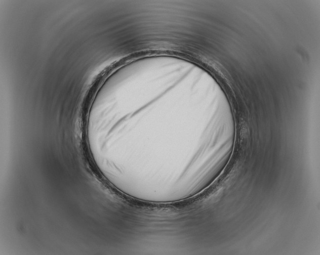 X0000113530979200910161346