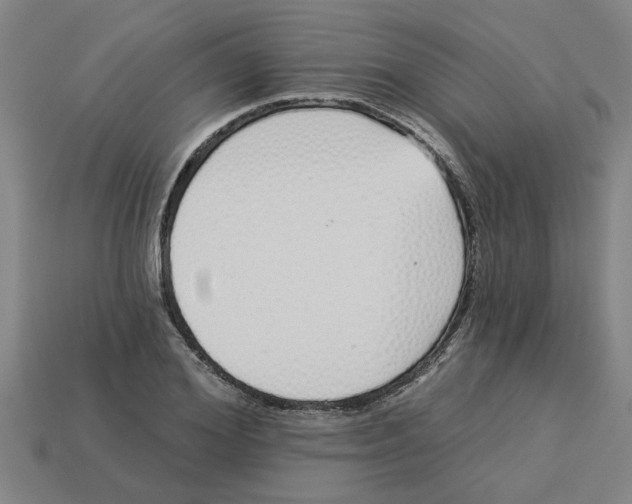 X0000113530980200910161346