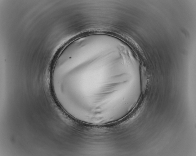 X0000113530981200910161346