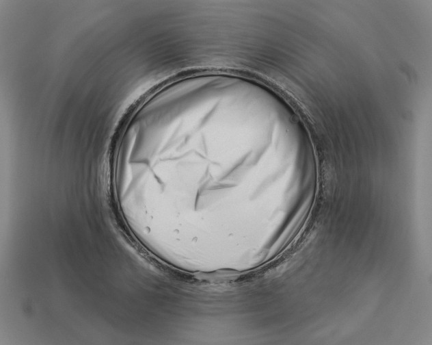 X0000113530982200910161346