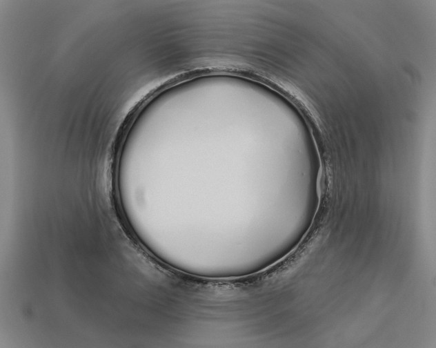 X0000113530983200910161346