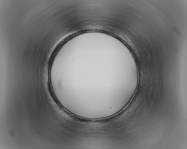 X0000113530984200910161346