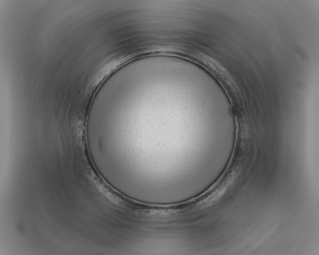 X0000113530985200910161346