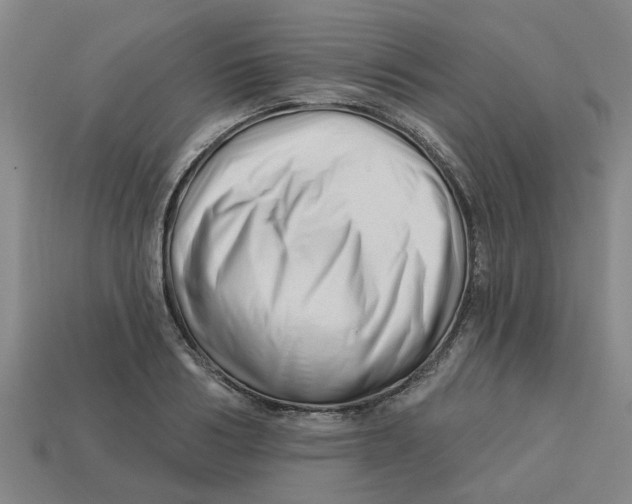 X0000113530986200910161346