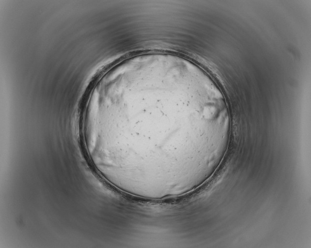 X0000113530987200910161346