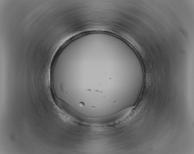 X0000113530988200910161346