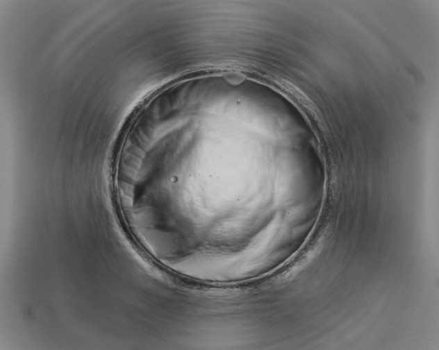 X0000113530989200910161346