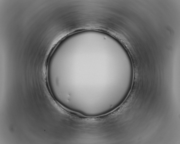 X0000113530990200910161346