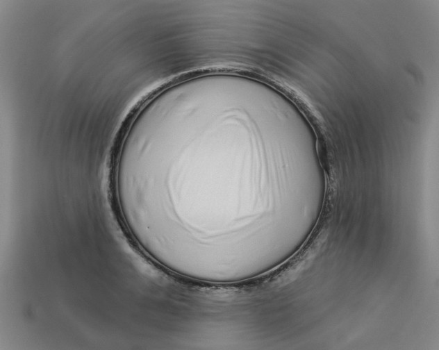 X0000113530991200910161346