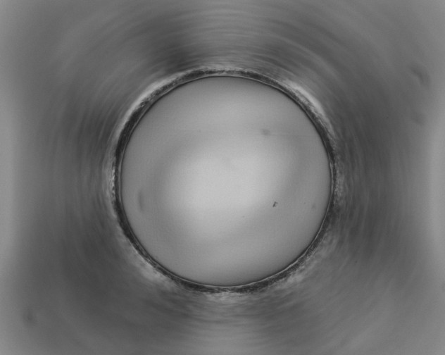 X0000113530992200910161346