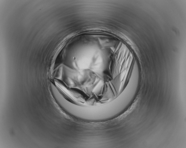 X0000113530993200910161346