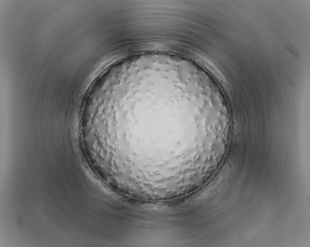 X0000113530994200910161346