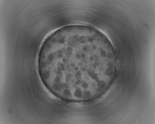 X0000113530995200910161346