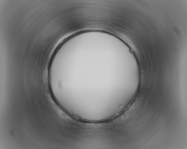 X0000113530996200910161346