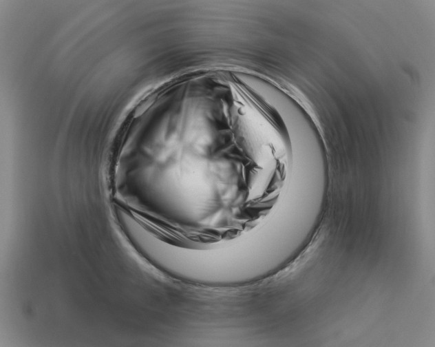 X0000113530997200910161346