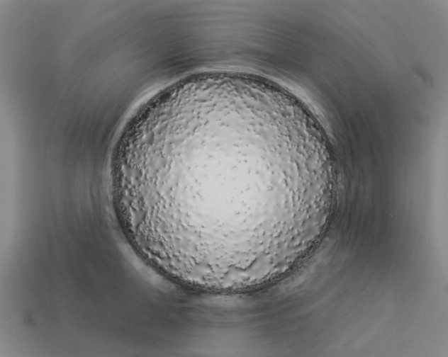 X0000113530998200910161346