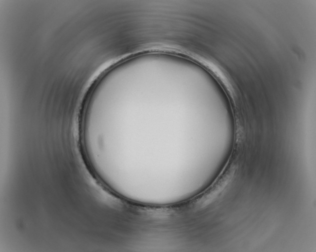 X0000113530999200910161345