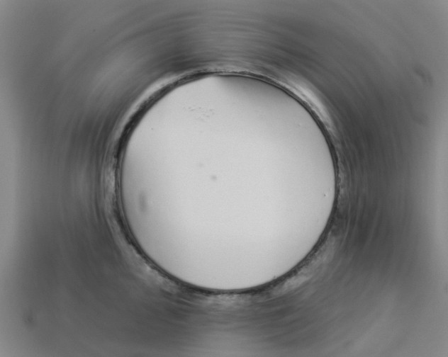 X0000113531000200910161345