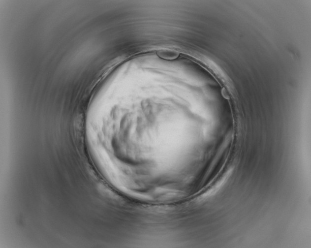 X0000113531001200910161345