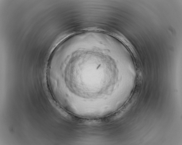 X0000113531002200910161345