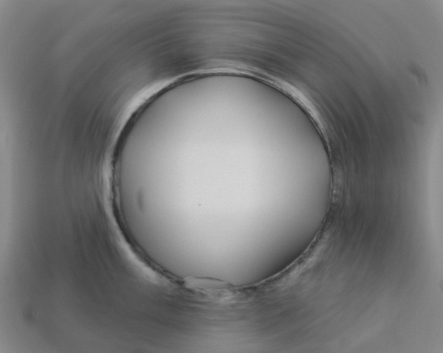 X0000113531003200910161345