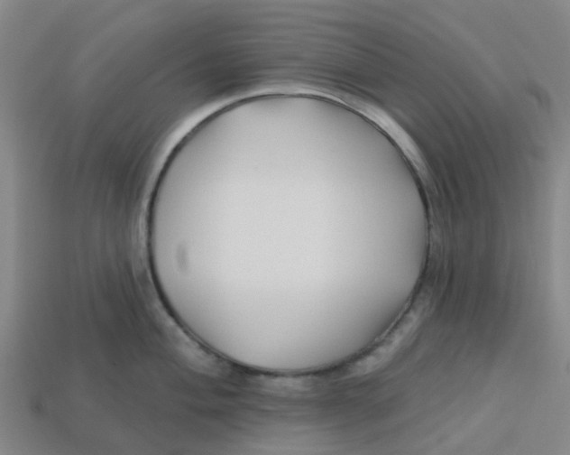 X0000113531004200910161345