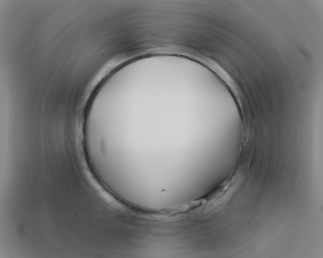 X0000113531005200910161345