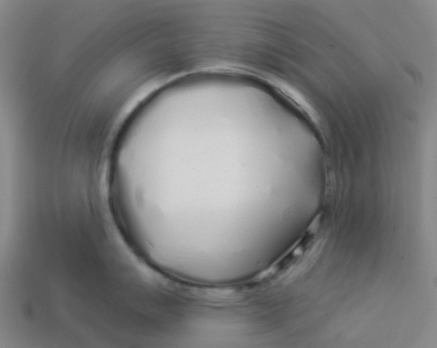 X0000113531007200910161345