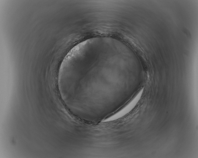 X0000113531009200910161345