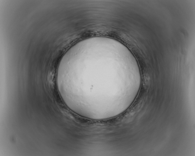 X0000113531010200910161345