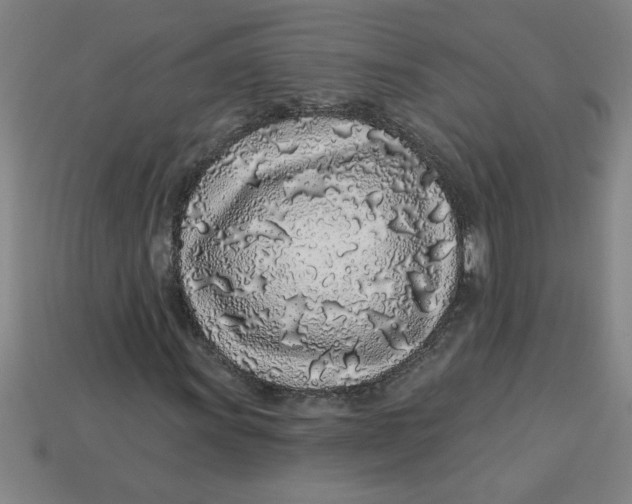 X0000113531011200910161345