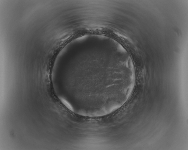 X0000113531013200910161345