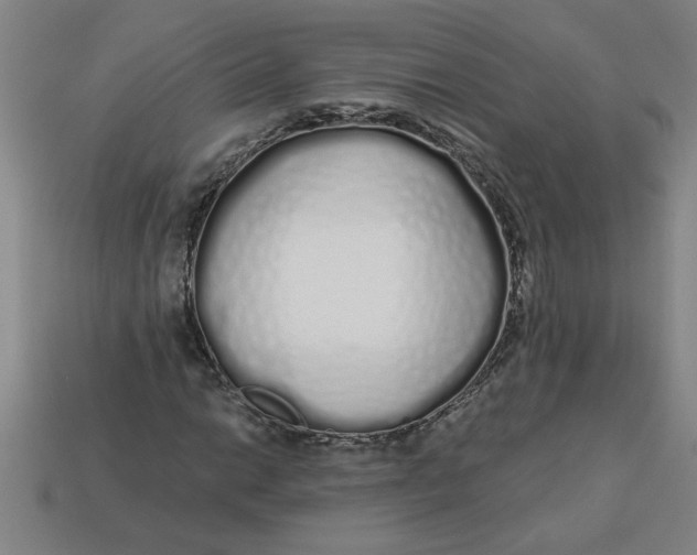 X0000113531014200910161345