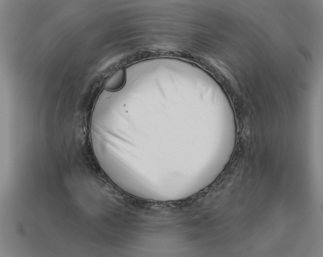 X0000113531015200910161345