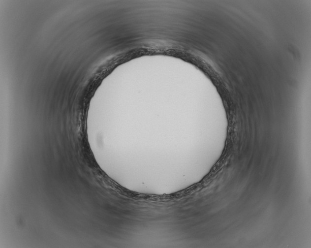 X0000113531016200910161345