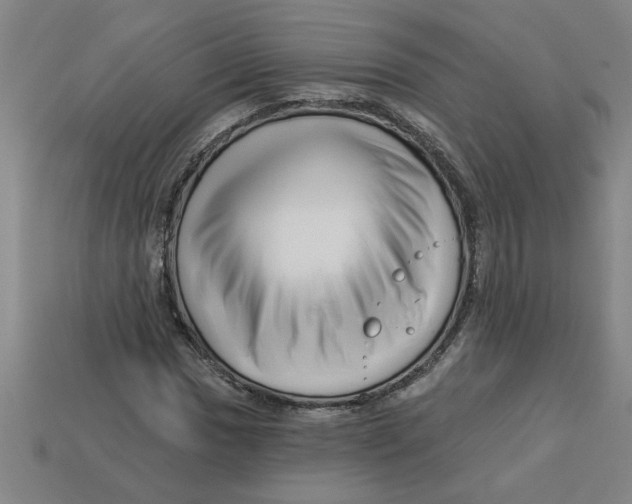 X0000113531017200910161345